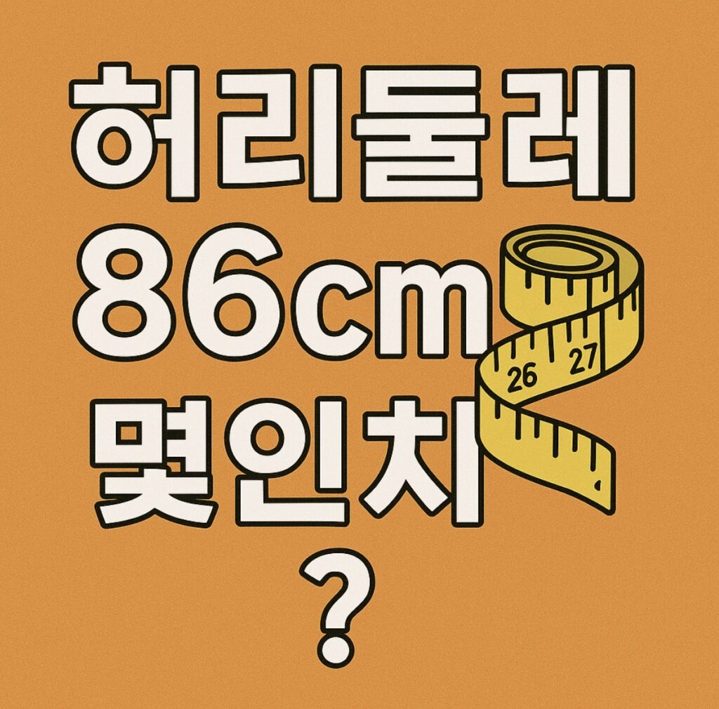 허리둘레 86cm 몇인치? 인치로 환산하는법